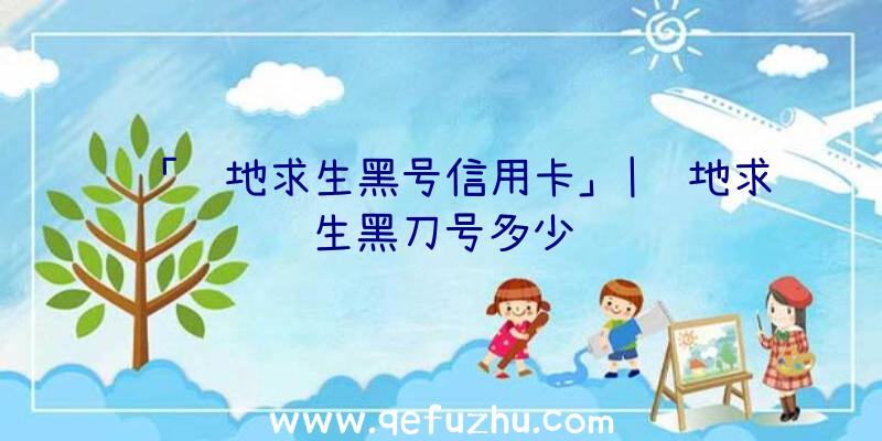 「绝地求生黑号信用卡」|绝地求生黑刀号多少钱